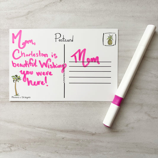 Pineapple Fountain Charleston, SC Postcard