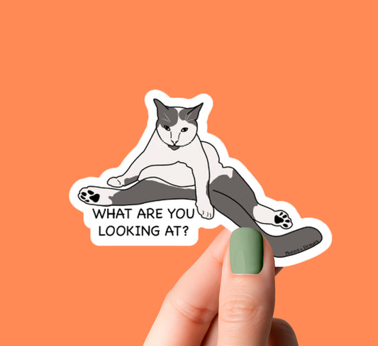 What are you looking at? Cat Sticker