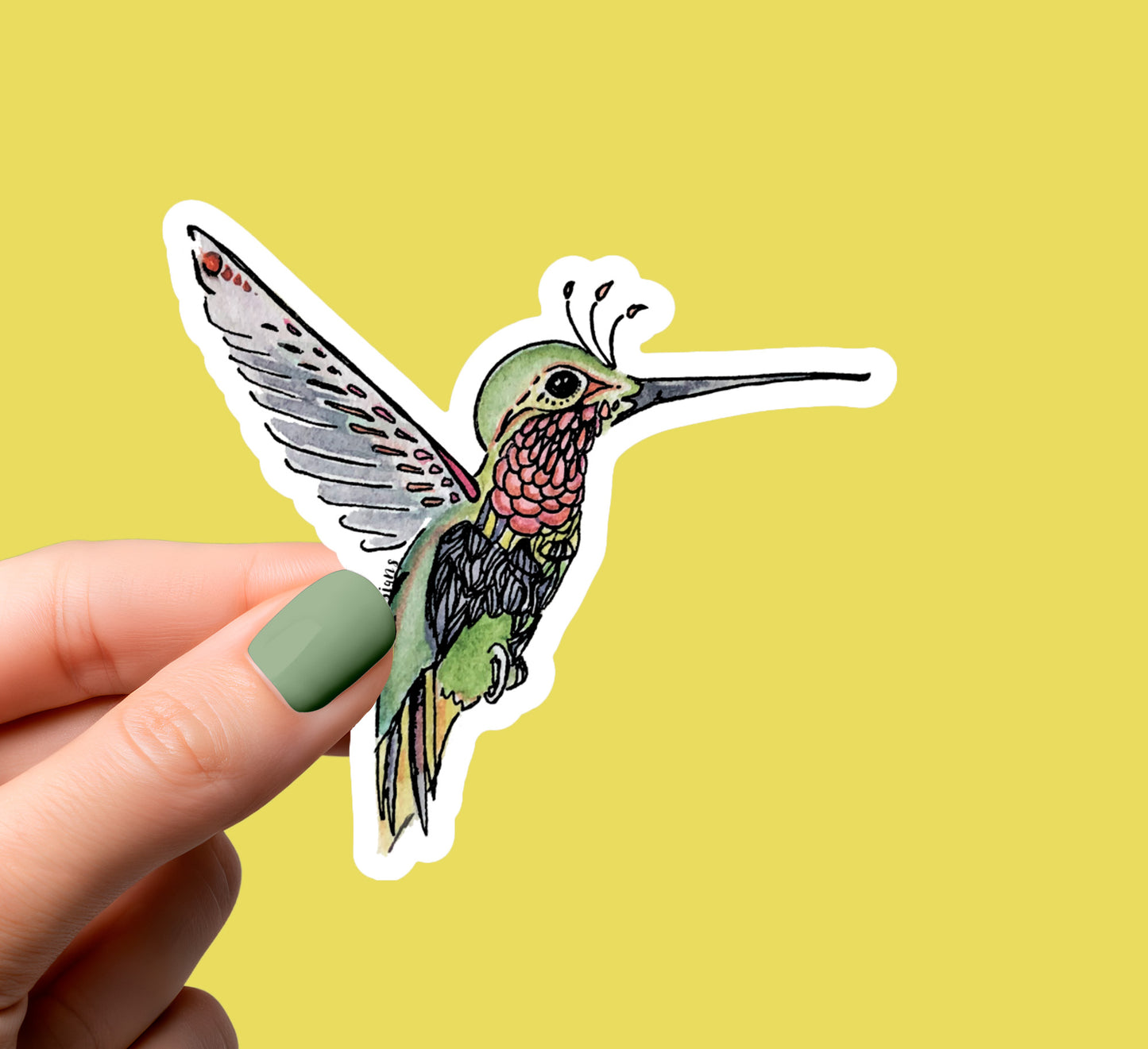 Hummingbird Die Cut Sticker