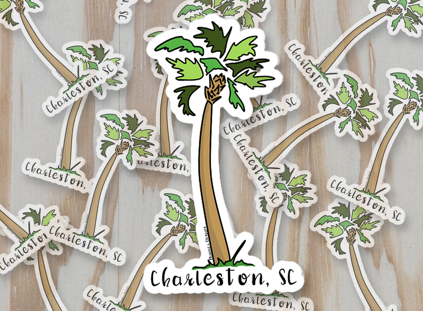 Charleston, SC Palmetto Palm Tree
