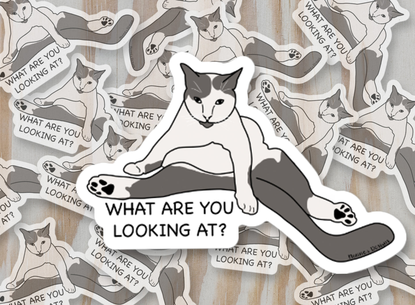 What are you looking at? Cat Sticker