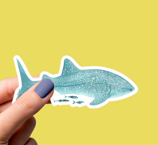 Whale Shark Sticker