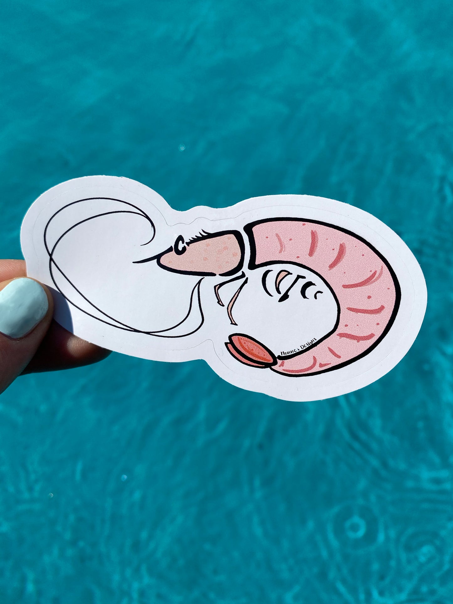 Shrimp Sticker